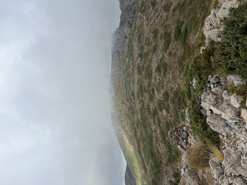 Photo №2 of Palomas