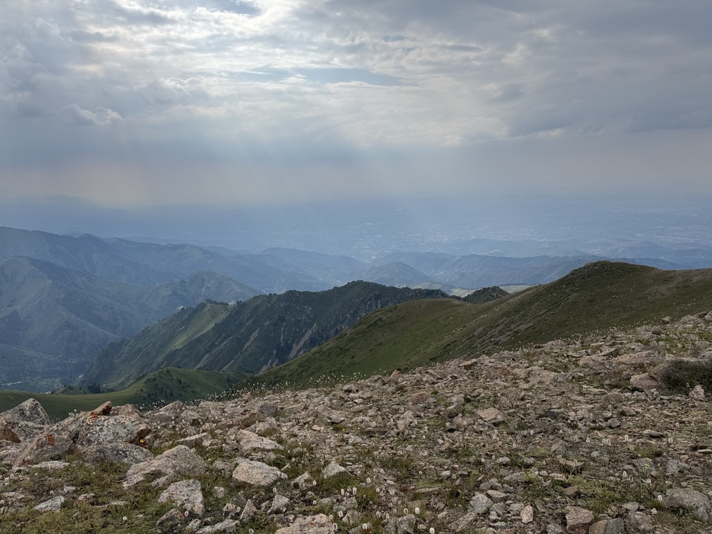 Photo №1 of Panorama