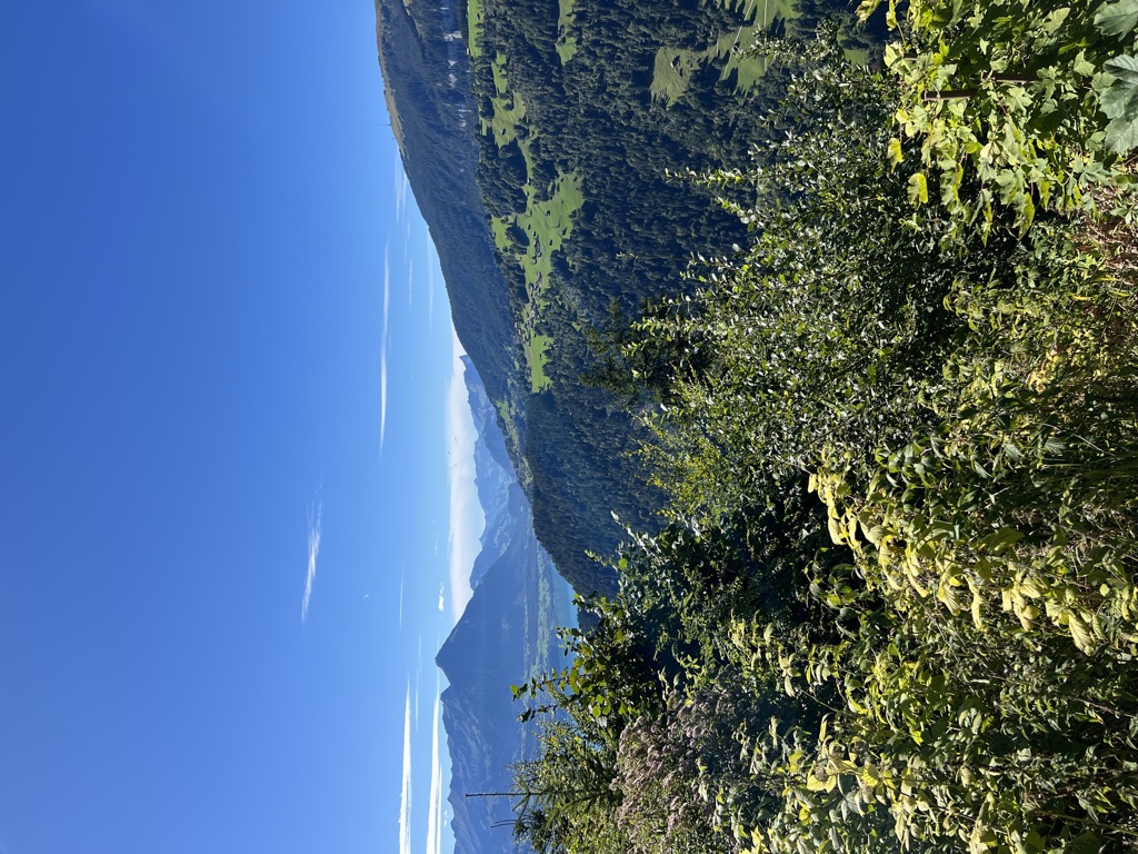 panorama-restaurant-harder-kulm-1