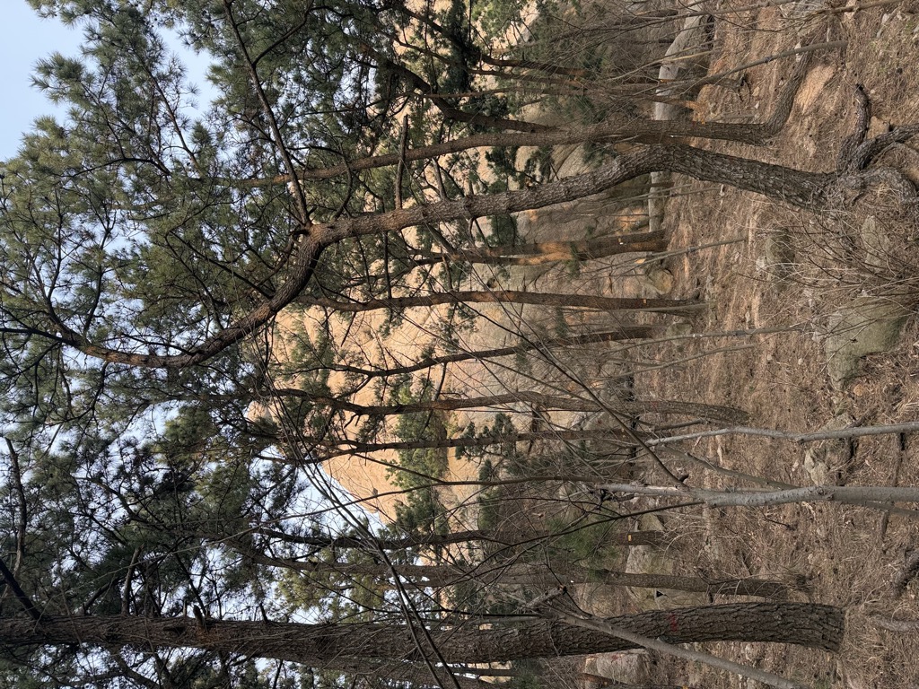 Photo №2 of Pántáo Fēng