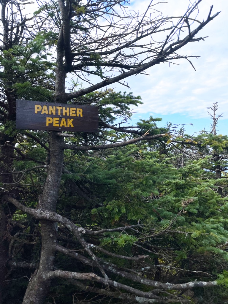 Photo №3 of Panther Peak