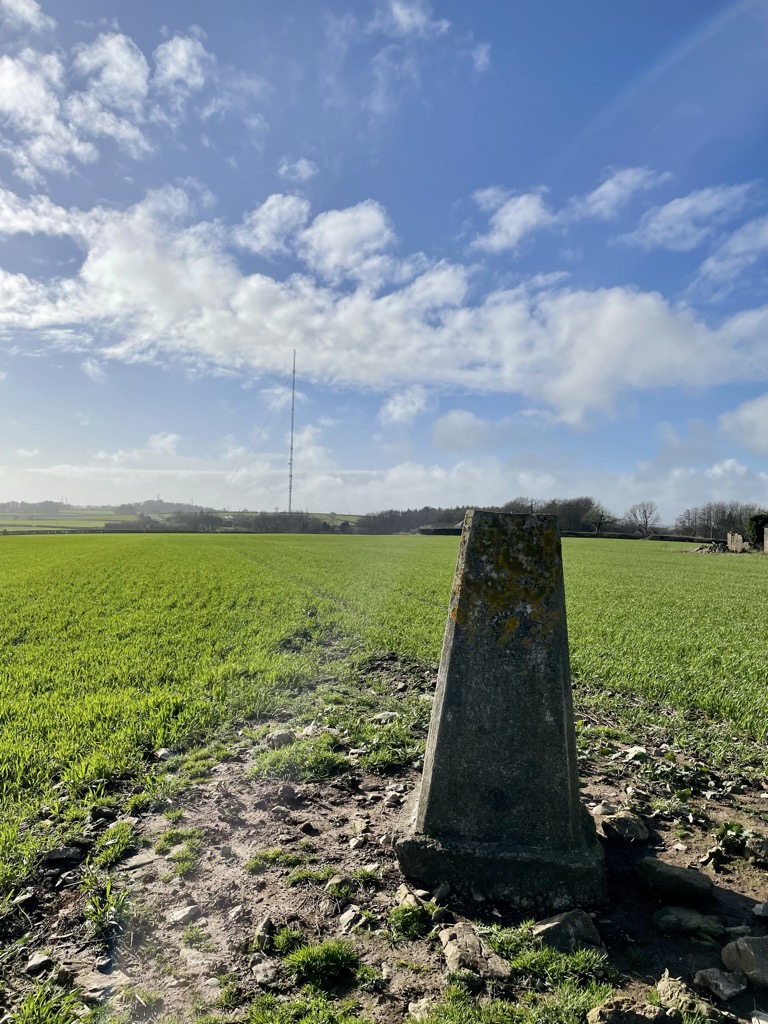 Photo №1 of Pantylladron