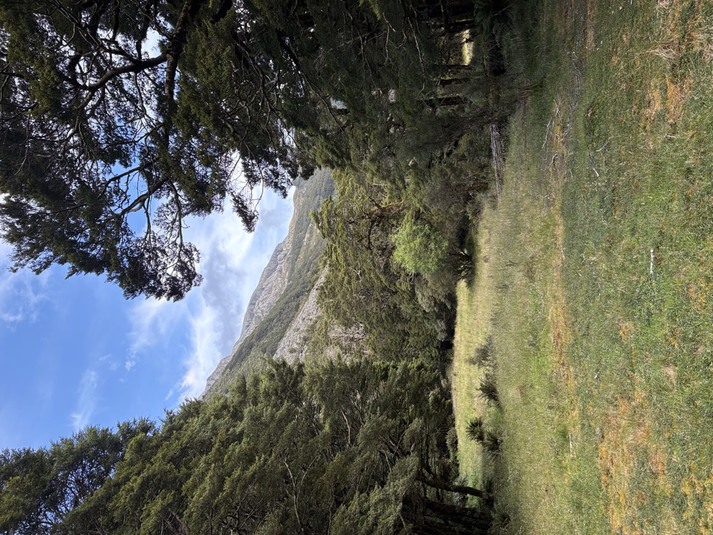 Park Pass
