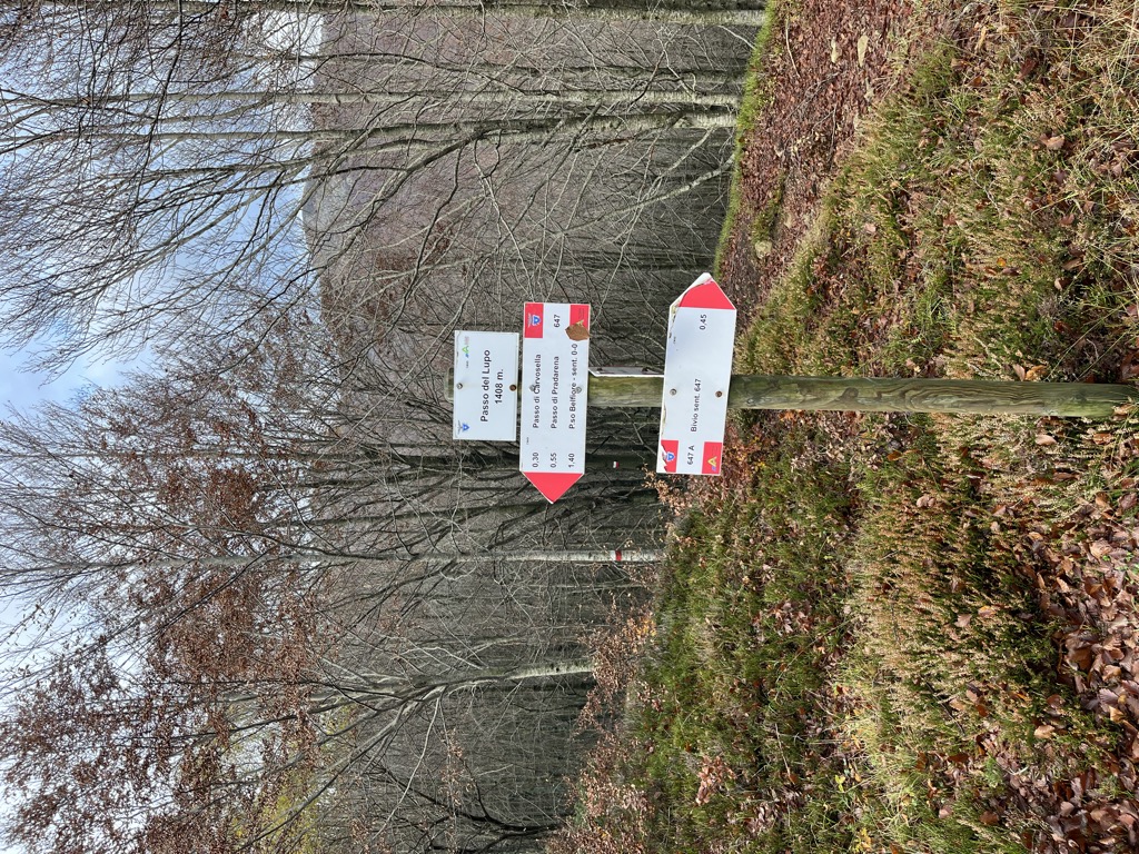 Photo №2 of Passo Belfiore