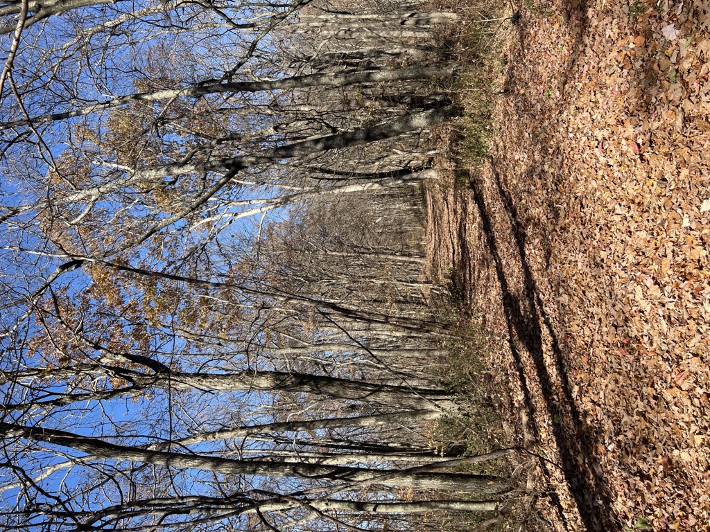 Photo №2 of Peach Orchard Gap