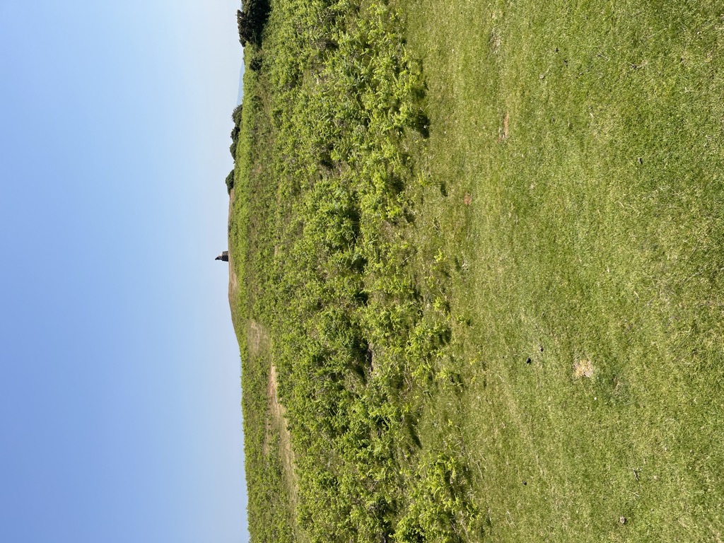 Photo №2 of Pen y Crug