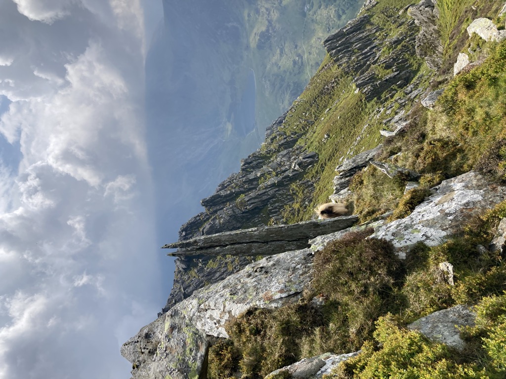 Photo №1 of Pen Yr Ole Wen