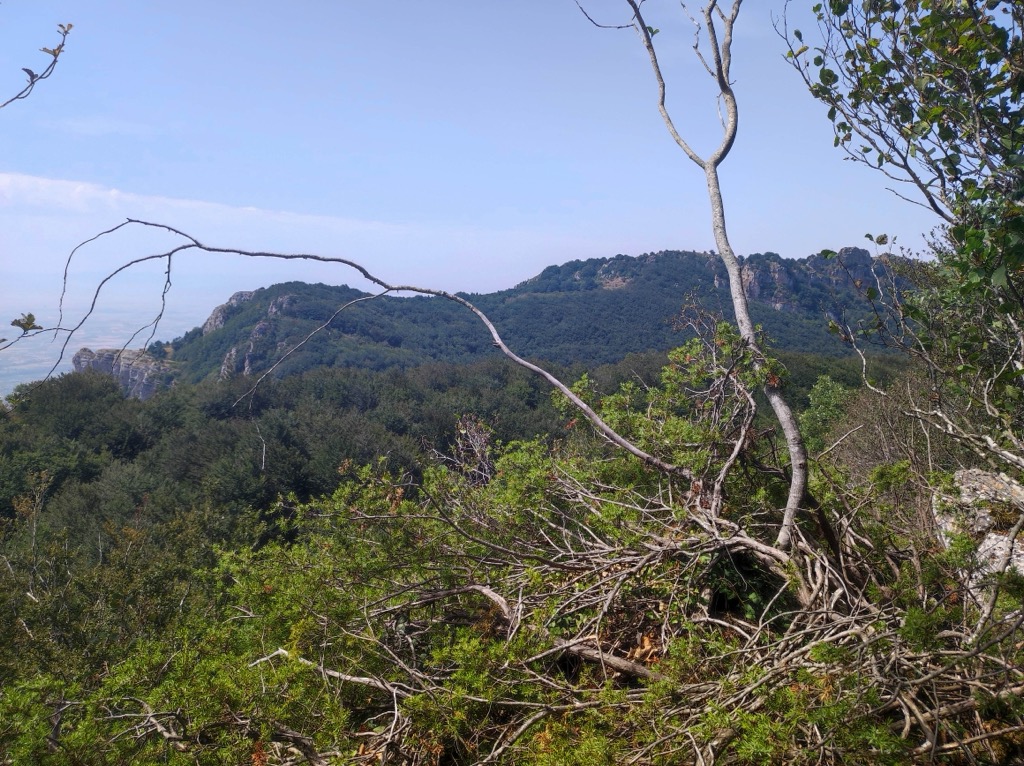 Photo №1 of Peña Bonbalatxi