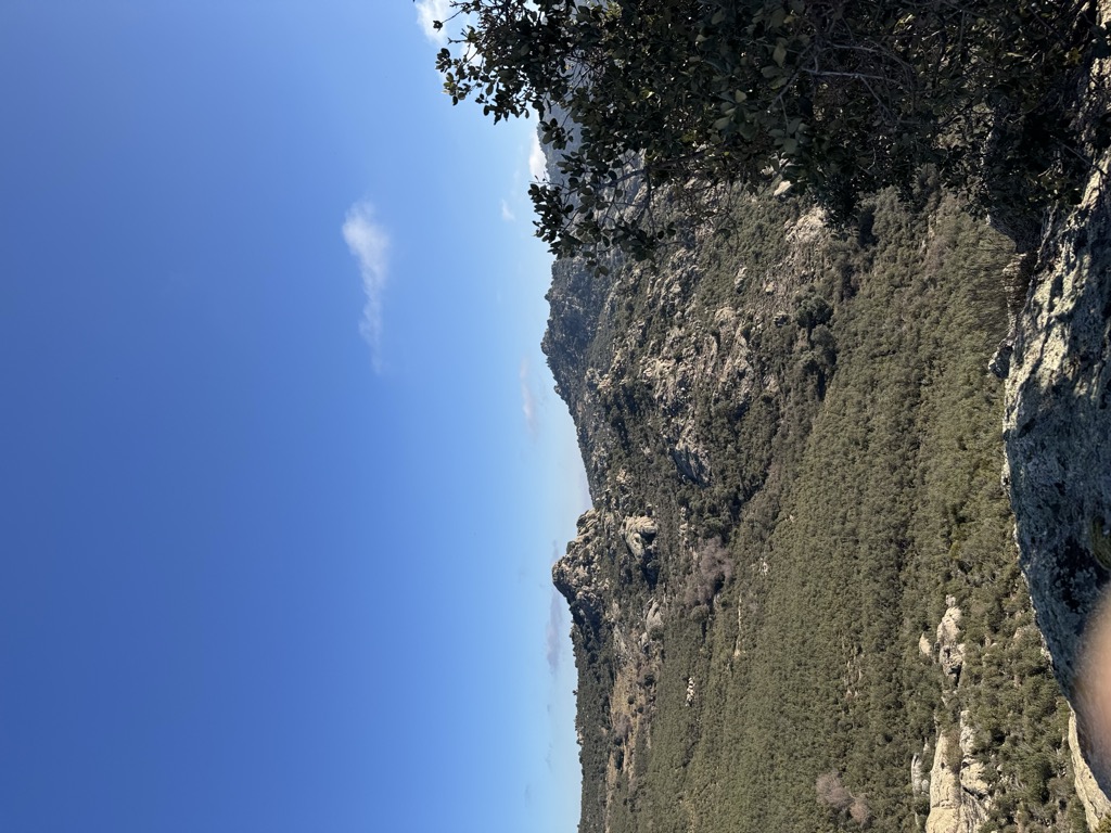 Photo №3 of Peña Herrera