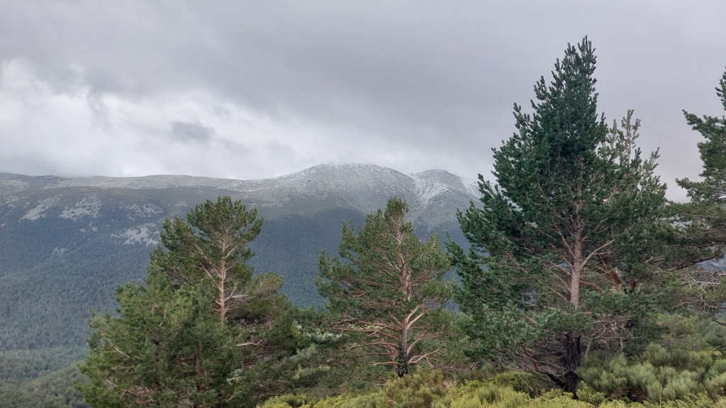 Photo №2 of Peña los Quesos