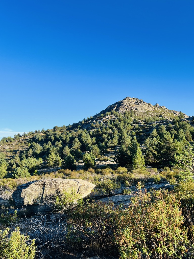 Photo №1 of Pendón