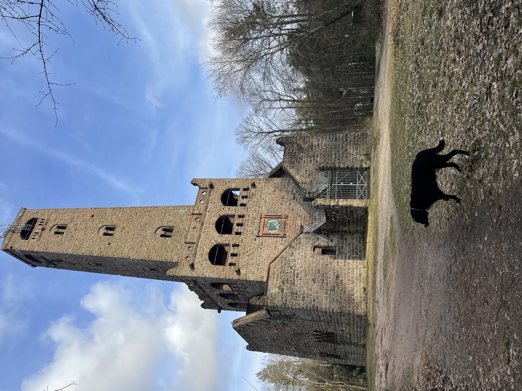 Photo №5 of Peterskopf