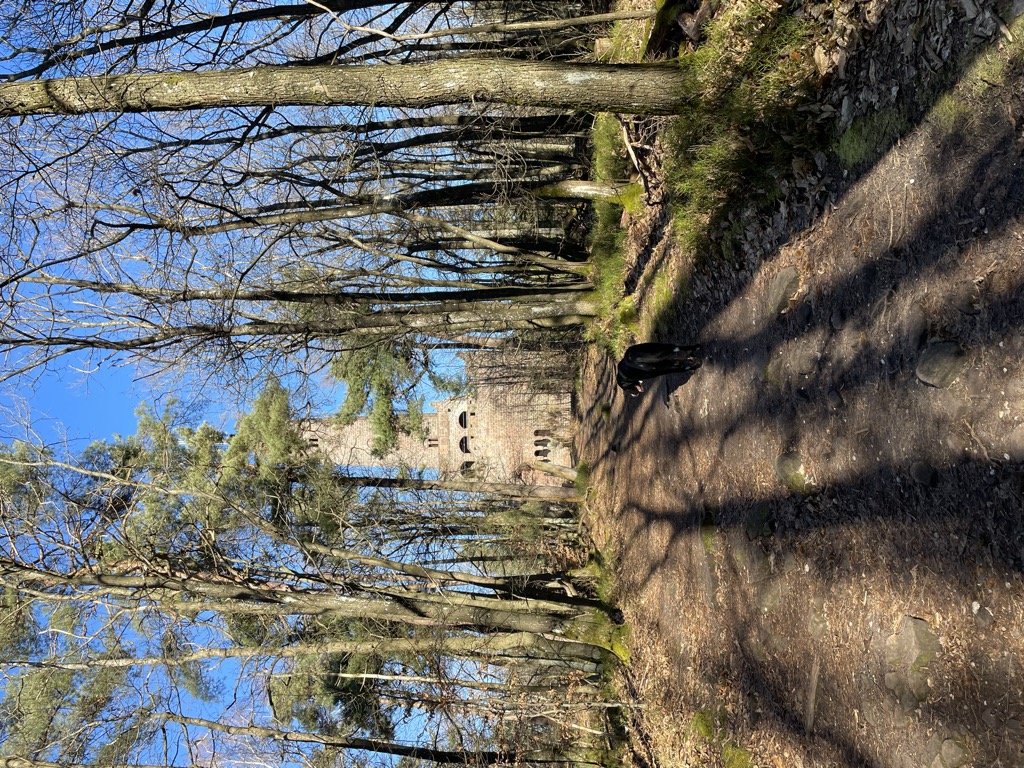 Photo №3 of Peterskopf