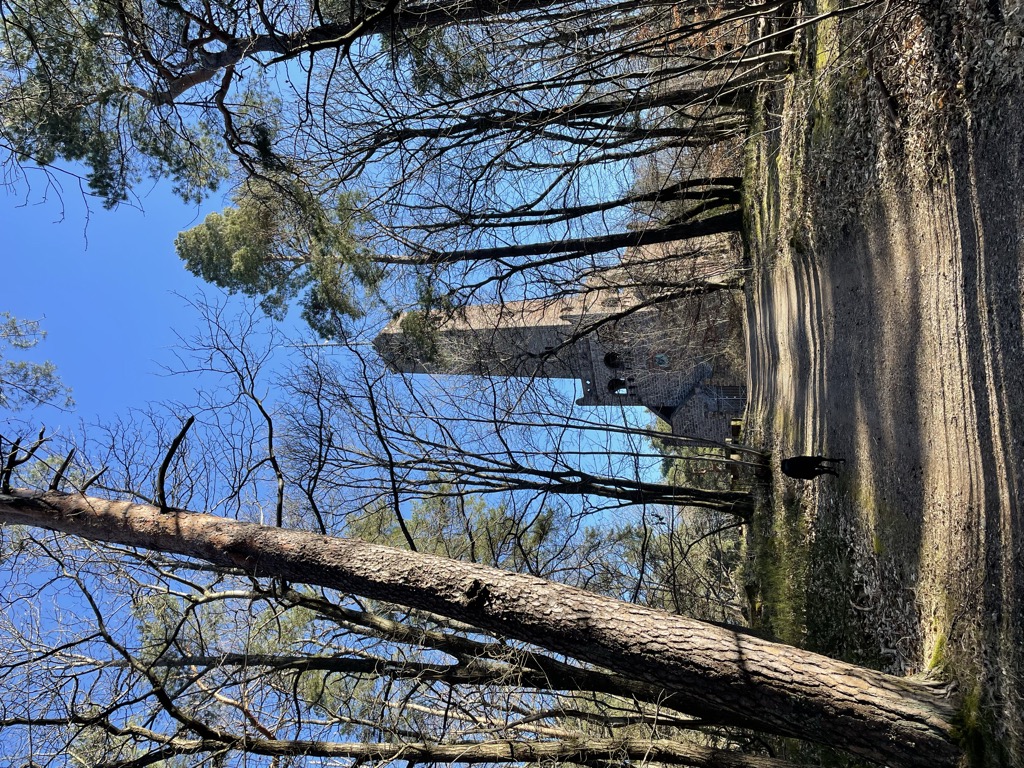 Photo №2 of Peterskopf