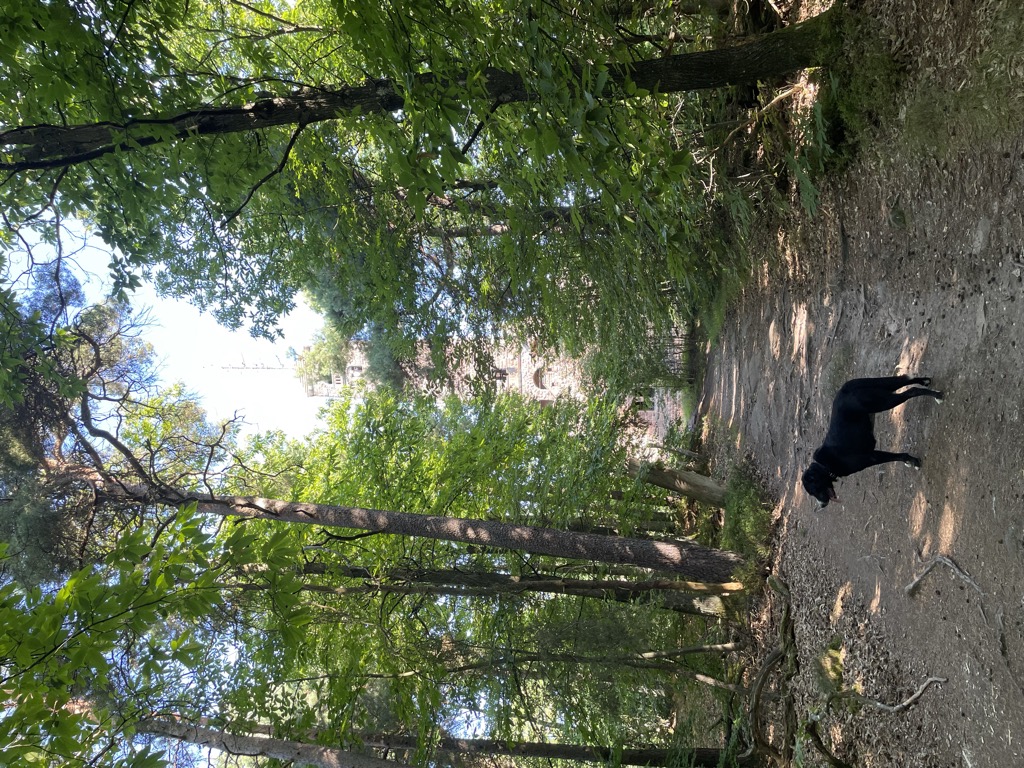 Photo №1 of Peterskopf