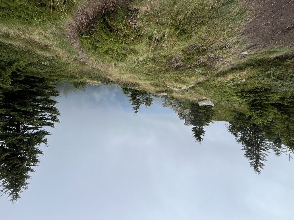 Photo №2 of Petit Wurzelstein