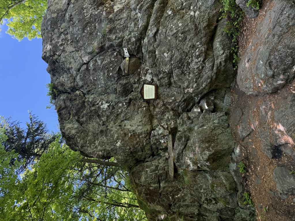 Photo №1 of Pfennigfelsen