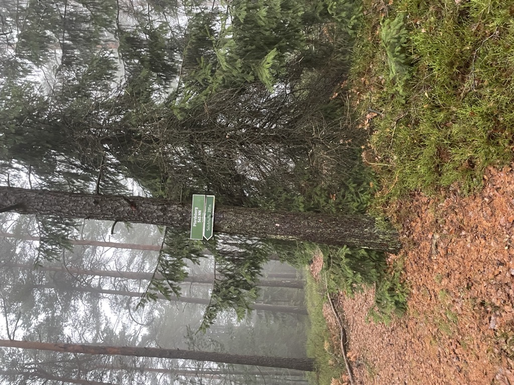 Photo №2 of Pferdeberg