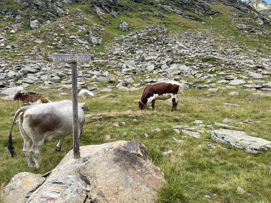 Photo №2 of Pfitscher Jöchl - Passo di Vizze