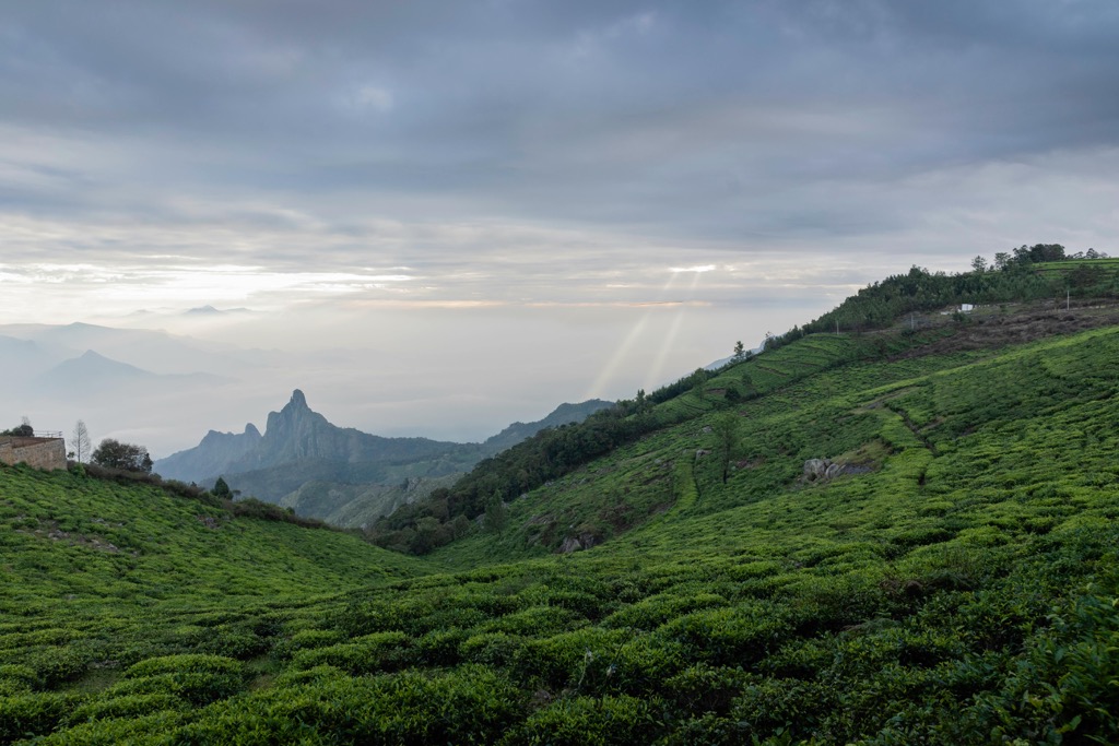 Photo №1 of Phnom Aural