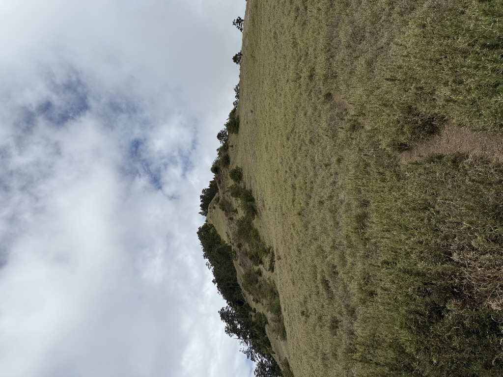 piaodan-hut-1