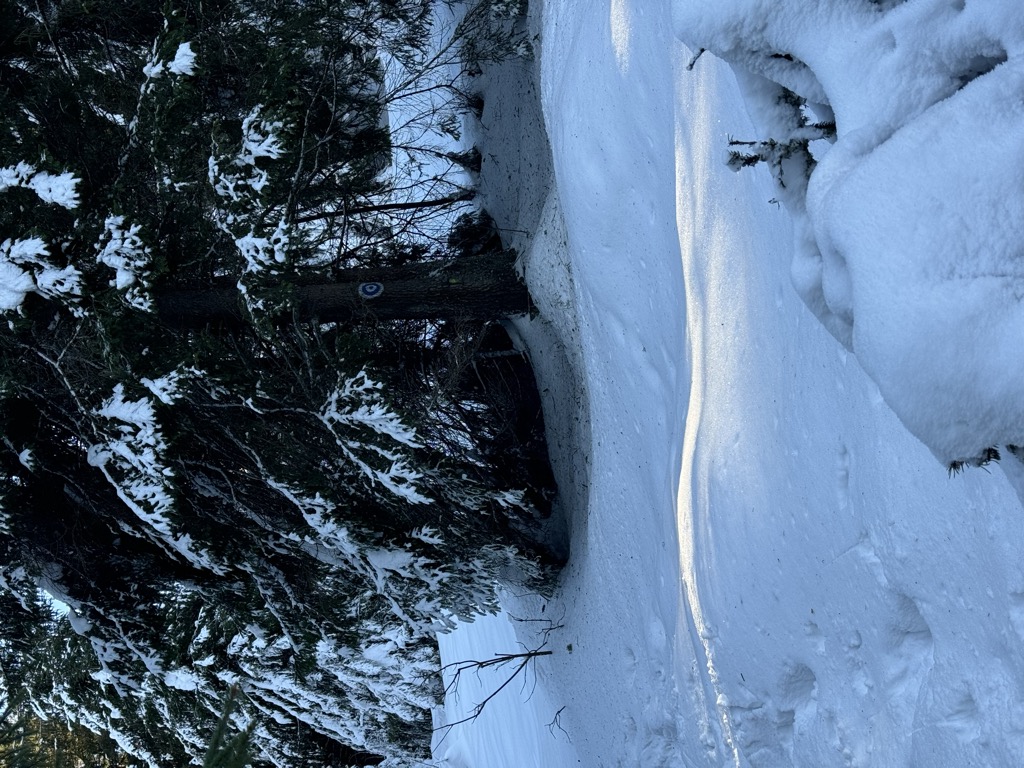 Photo №1 of Piatra Ucigașului