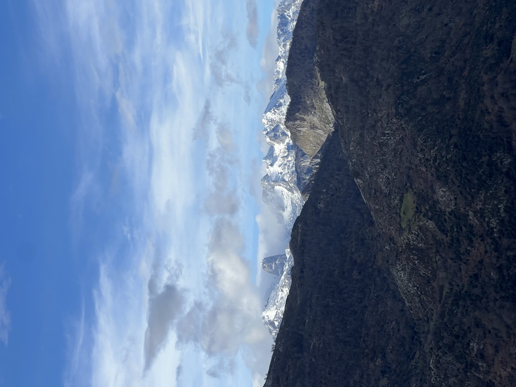 Photo №2 of Pica Peñamellera