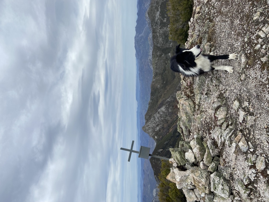 Photo №1 of Pico Cuchu