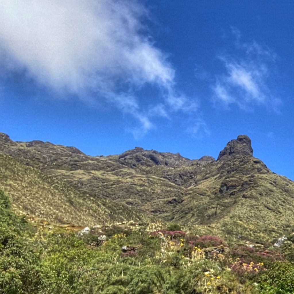 Photo №1 of Pico Las Flores