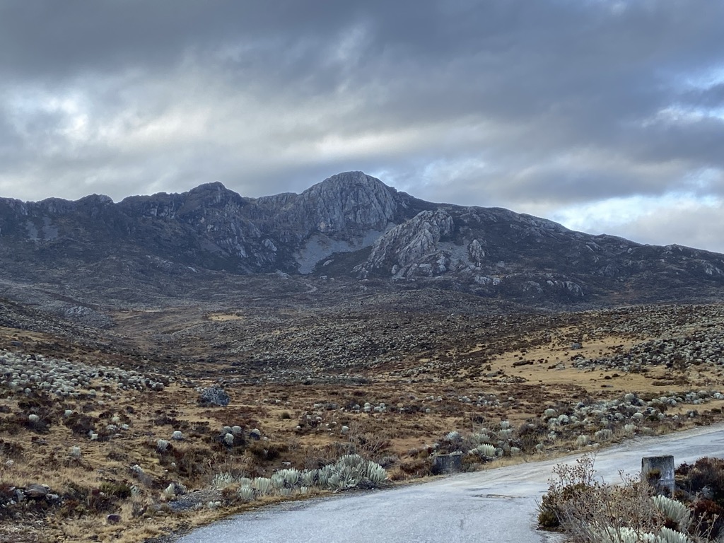 Photo №1 of Pico Los Patos