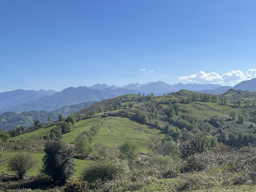 Photo №3 of Pico Roíles