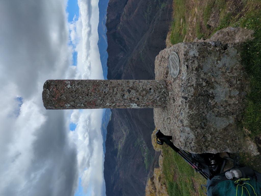 Photo №2 of Picu Polio