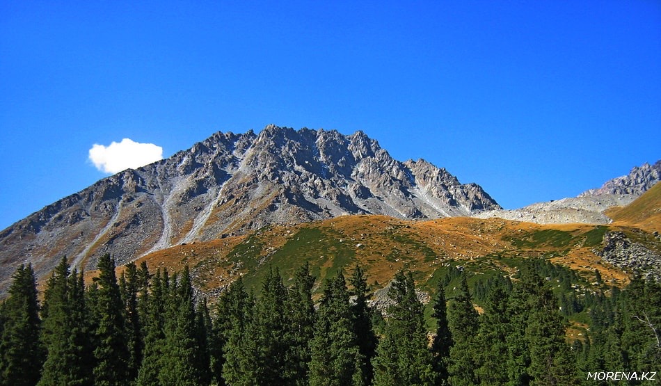 Photo №2 of Pila