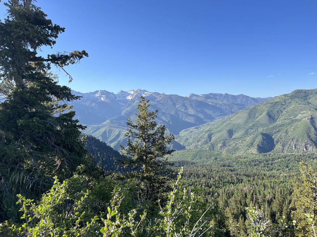 Photo №2 of Pine Hollow Peak