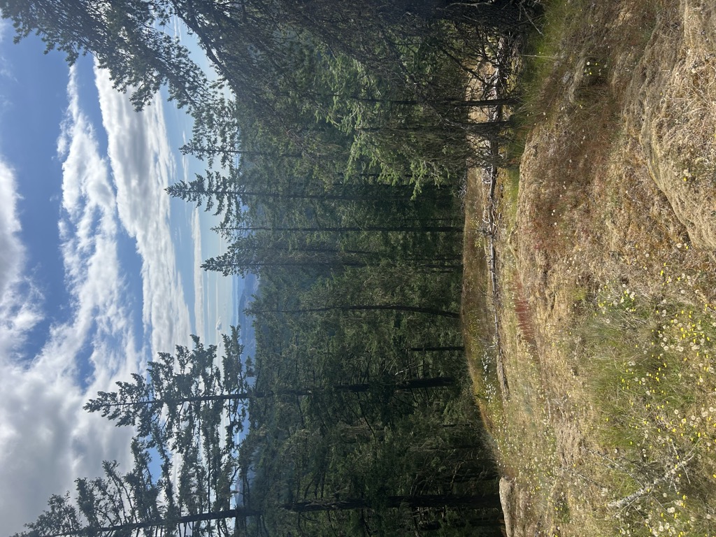 Photo №1 of Pinnacle Peak