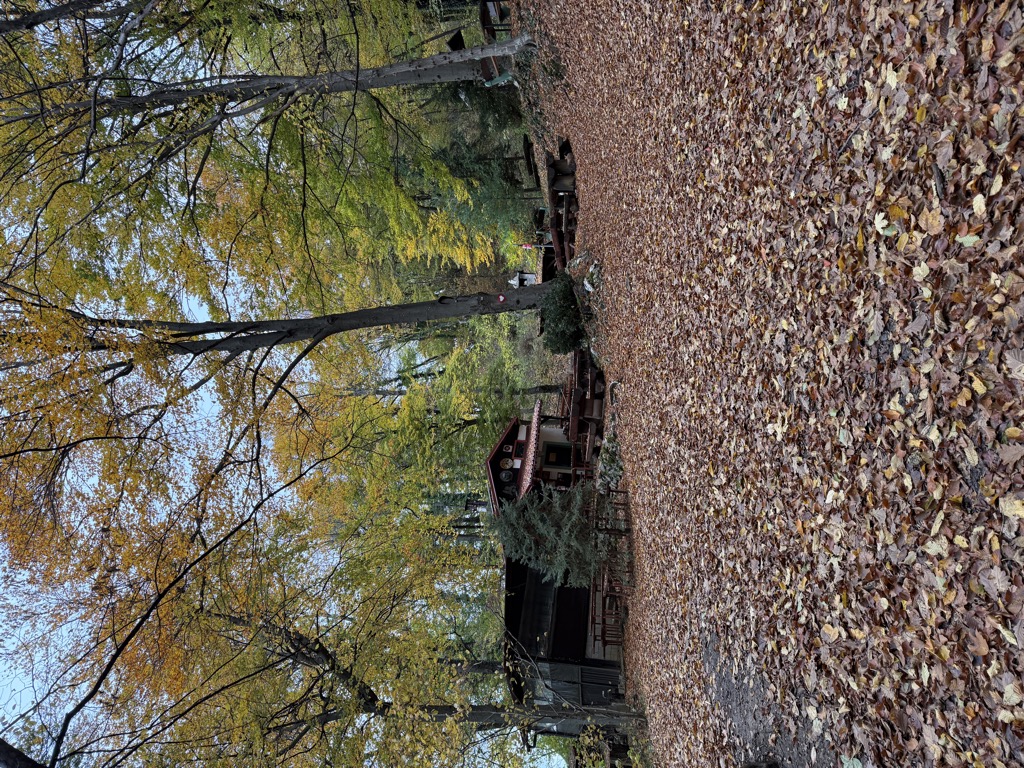 planinarska-kuca-kameni-svati-3