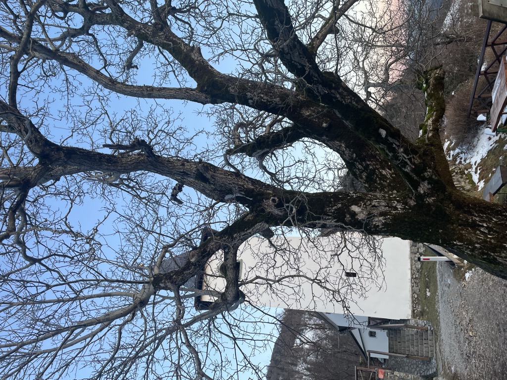 planinska-koca-na-sv-jakobu-16