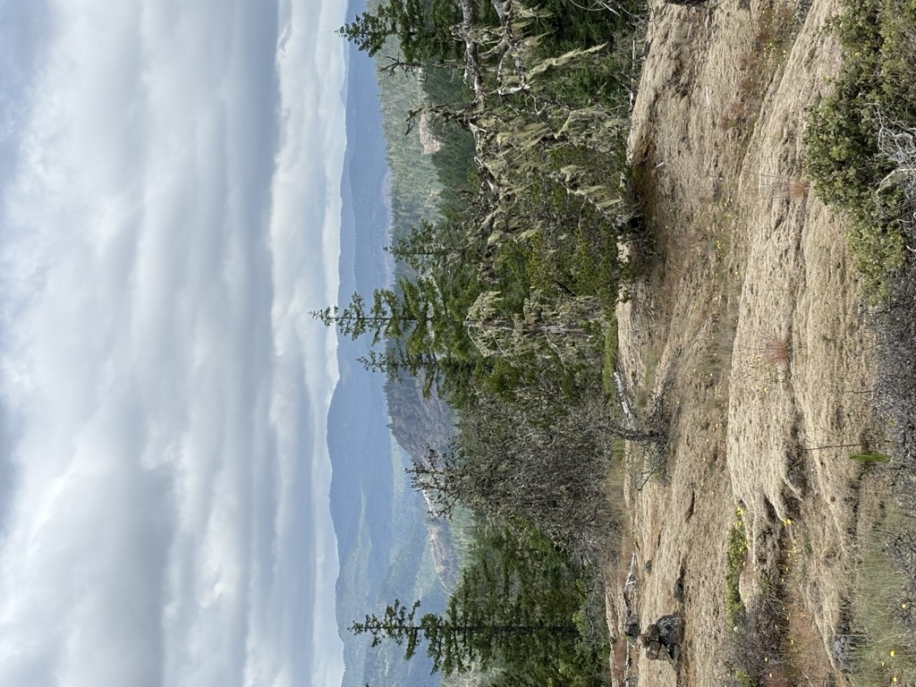 Photo №1 of Pleasant Peak