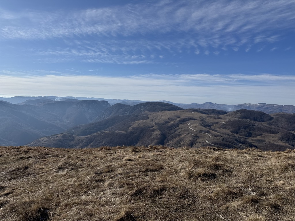 Photo №1 of Pleșii