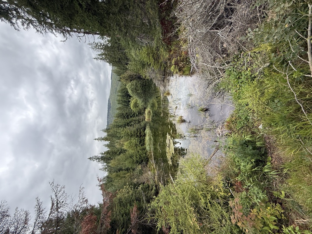 Photo №2 of Pliesko nad Podbanským