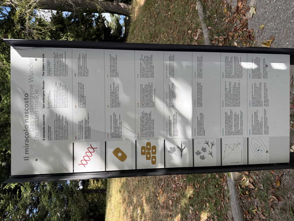 Photo №4 of Ponte sospeso Cardada – Aussichtsplattform Cardada