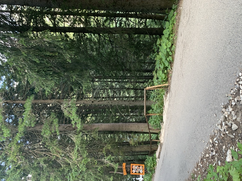 Photo №6 of Popradské pleso