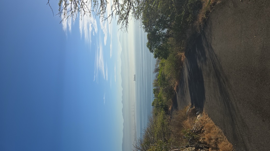 Photo №4 of Port Henderson Hill