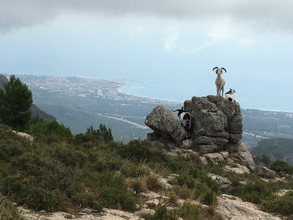 Photo №2 of Portella de les Llongues