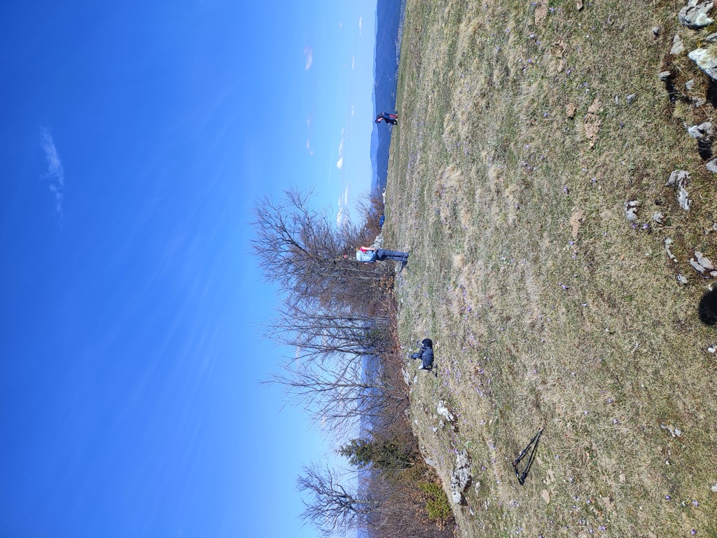 Photo №1 of Površje