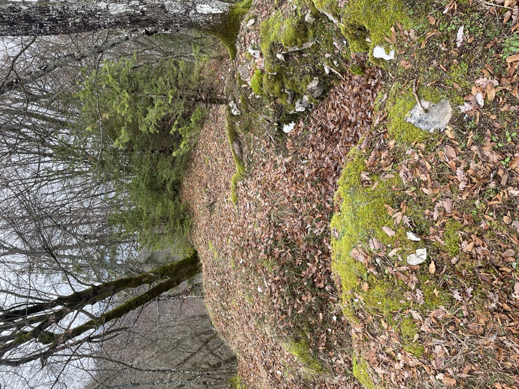 Photo №2 of Pozabljeni grad