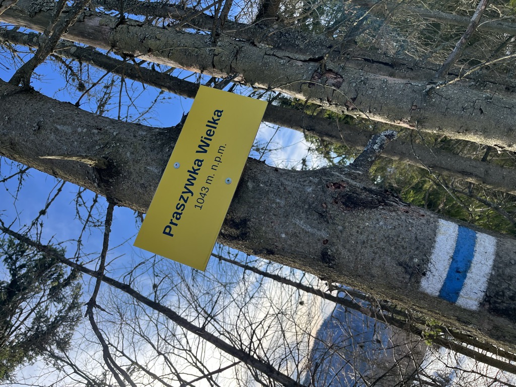 Photo №1 of Praszywka Wielka