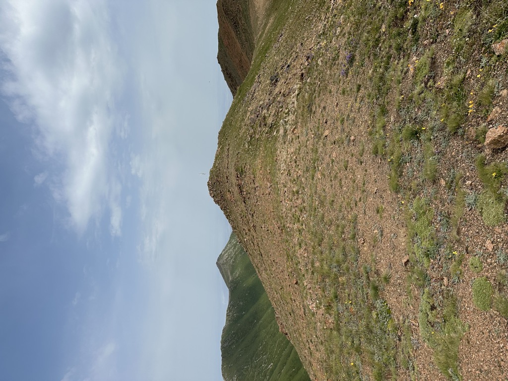 Photo №1 of Pribornaya