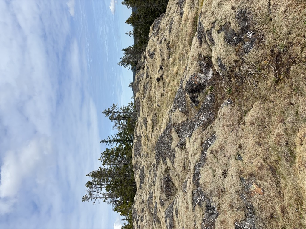 Photo №3 of Price's Peak