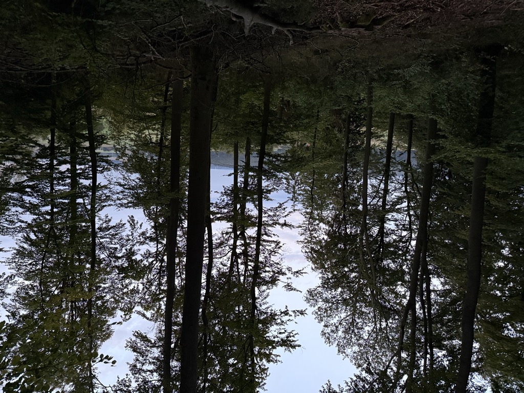 Photo №2 of Priesterberg